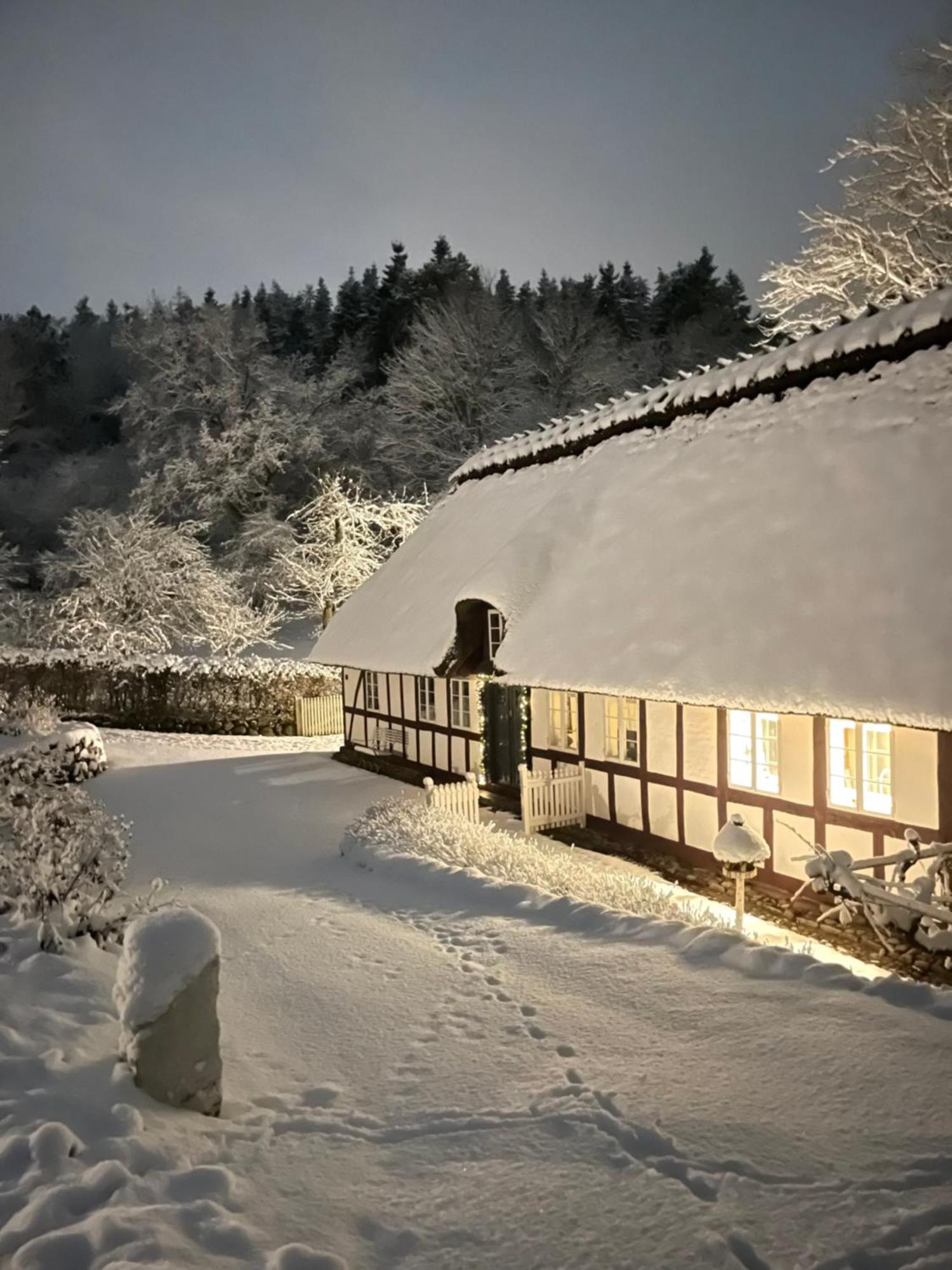Lillemollens Bed & Breakfast Orbaek  Экстерьер фото