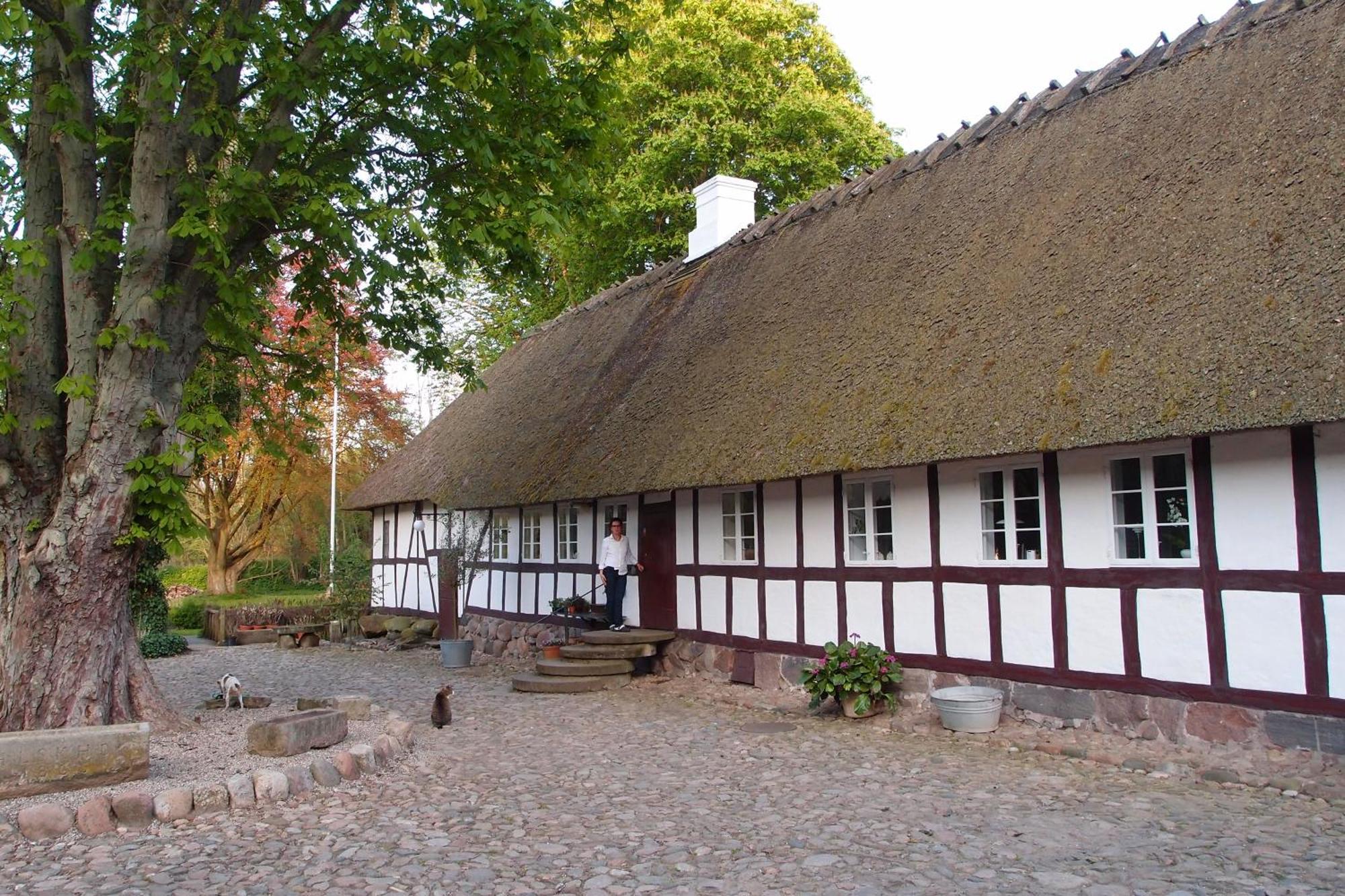 Lillemollens Bed & Breakfast Orbaek  Экстерьер фото